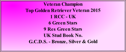 Veteran Champion
Top Golden Retriever Veteran 2015
1 RCC - UK
6 Green Stars
9 Res Green Stars
UK Stud Book No.
G.C.D.S. - Bronze, Silver & Gold
