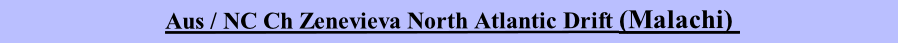 Aus / NC Ch Zenevieva North Atlantic Drift (Malachi) 